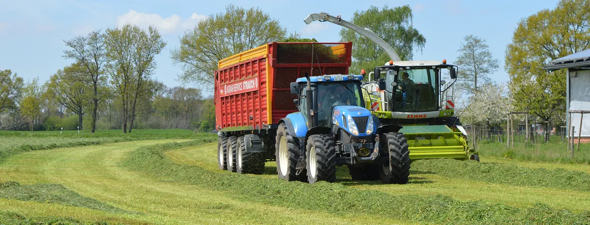 Grashäckseln: Ein Claas-Feldhäcksler füllt den roten Häckselwagen von Agrar-Service Strauch hinter einem blauen New-Holland-Traktor.