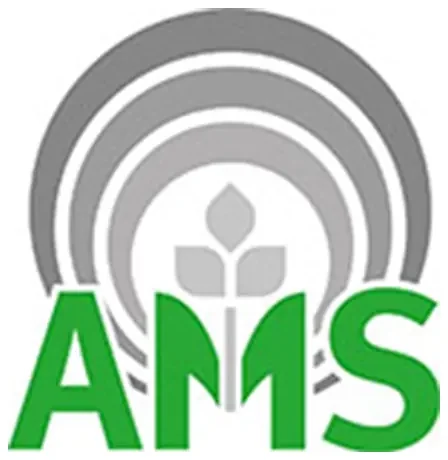 Logo AMS