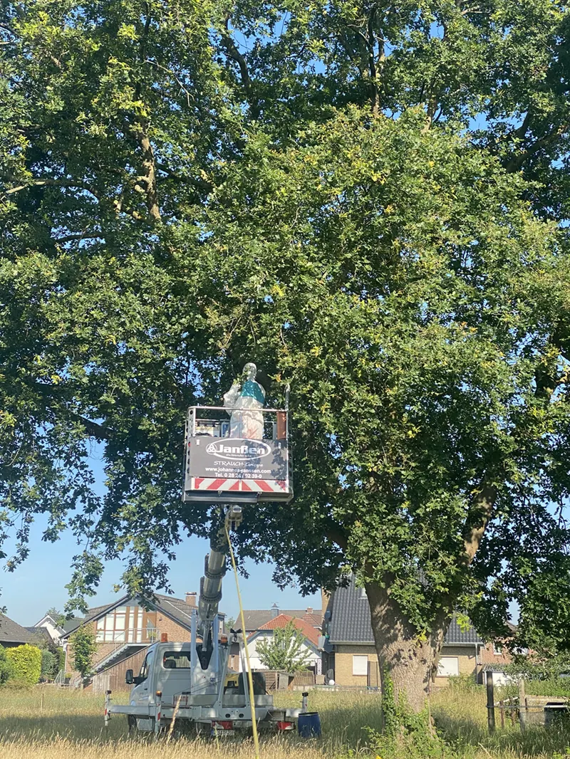 Hubarbeitsbühne auf einem weißen Transporter an einem großen Baum, im Korb mit Janßen-Aufschrift ein Arbeiter in weißem Schutzanzug; im Hintergrund Wohnhäuser.