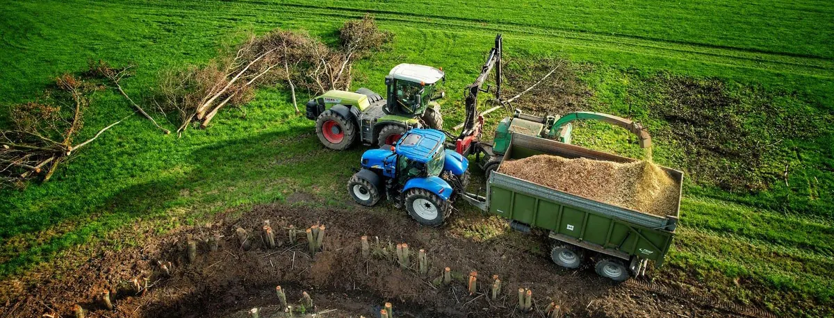 Luftaufnahme: Ein Holzhacker an einem grünen Traktor mit Kran bläst Hackschnitzel in einen grünen Anhänger hinter einem blauen Traktor; ringsum Astschnitt und Baumstümpfe auf einer Wiese.