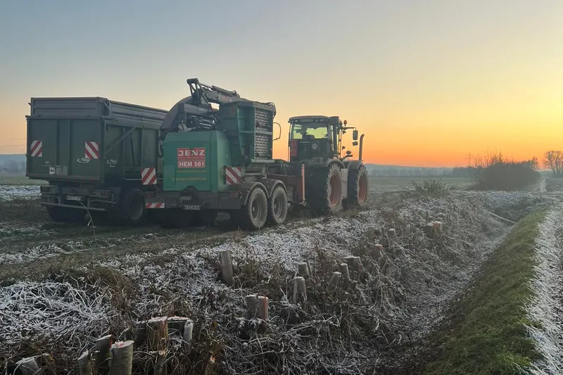 Traktor mit grünem Mobilhacker, Aufschrift „Jenz HEM 561“, und grünem Anhänger auf einem bereiften Feld vor orangefarbenem Himmel; im Vordergrund gekappte Baumstümpfe an einem Graben.