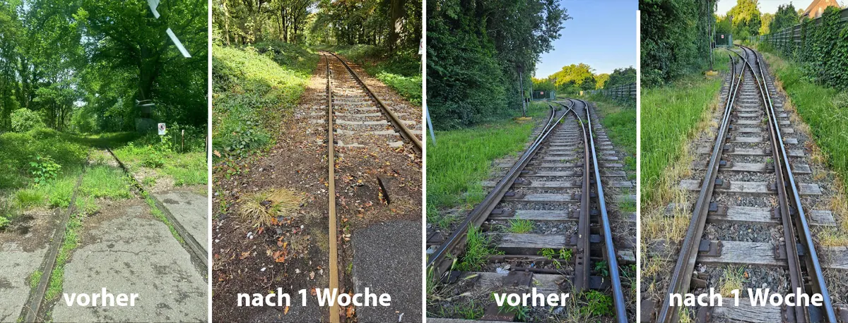 Vier Gleisfotos nebeneinander, beschriftet mit „vorher“, „nach 1 Woche“, „vorher“ und „nach 1 Woche“: Vorher wächst grüner Bewuchs zwischen und neben den Schienen, nach einer Woche ist er braun und verwelkt.