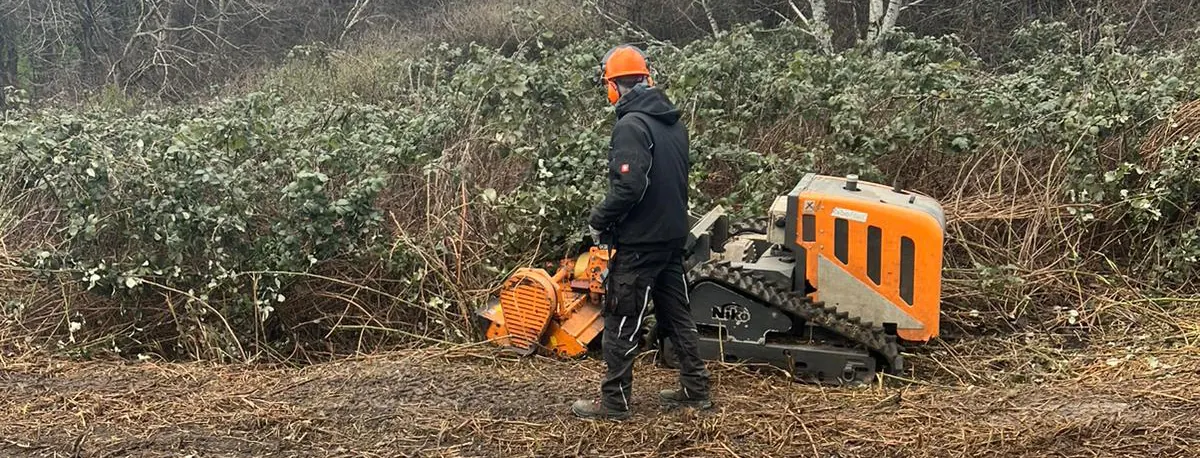 Mann mit orangefarbenem Helm und Gehörschutz steht neben einem orangefarbenen Raupenmäher in dichtem Brombeergestrüpp.