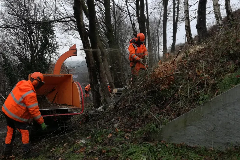 Arbeiter in orangefarbener Schutzkleidung mit Helm schneiden Gehölz an einer Böschung, einer von ihnen steht an einem orangefarbenen Holzhäcksler.